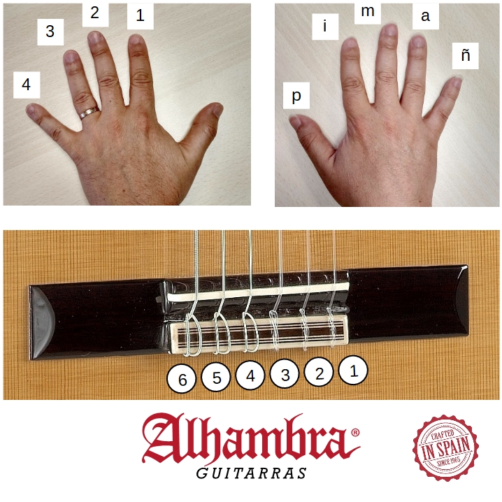 mental Verdulero ajedrez Aprender guitarra, la digitación | Guitarras Alhambra
